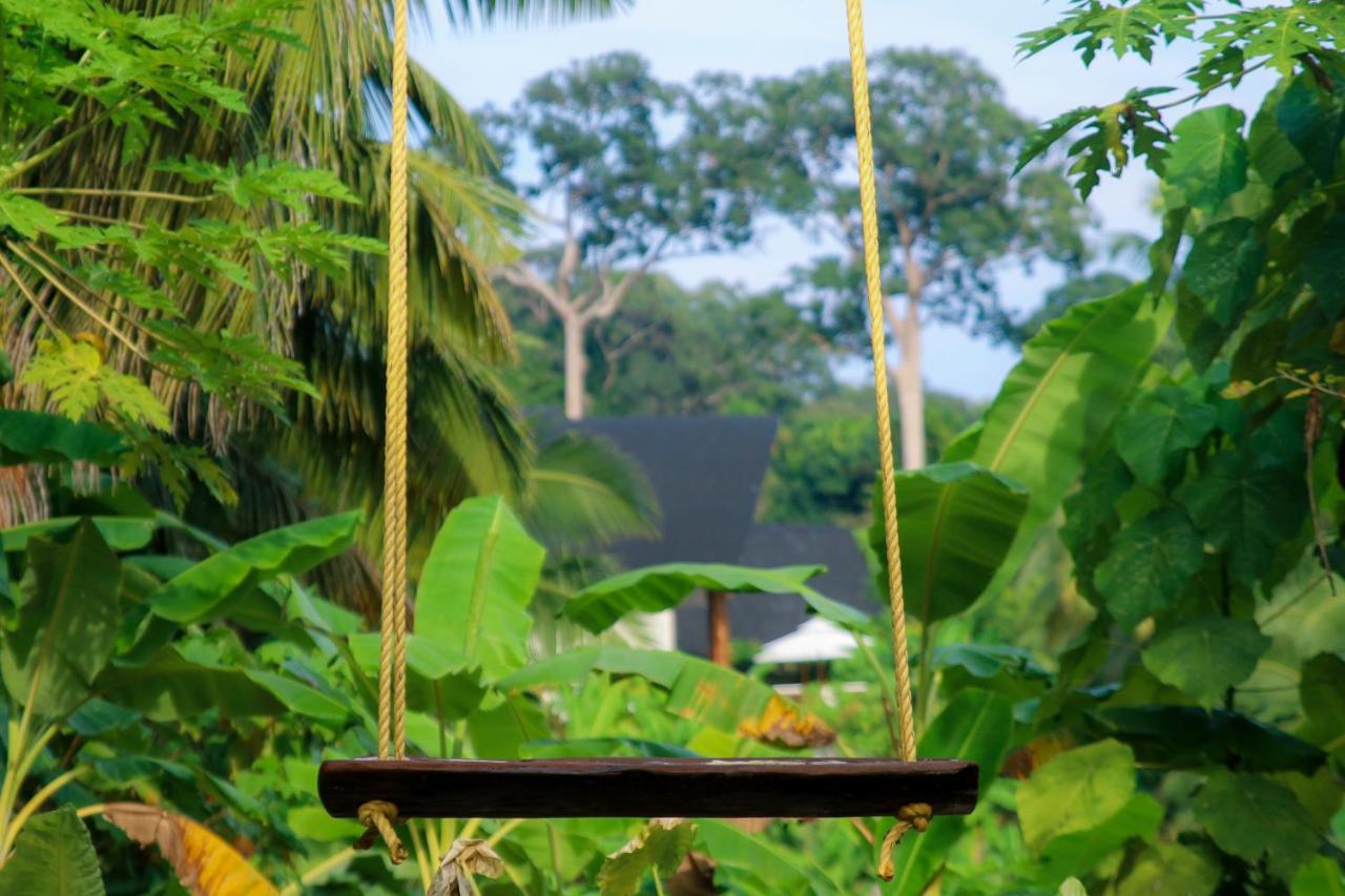 Satya Boutique Resort & Spa Vijay Nagar Beach エクステリア 写真