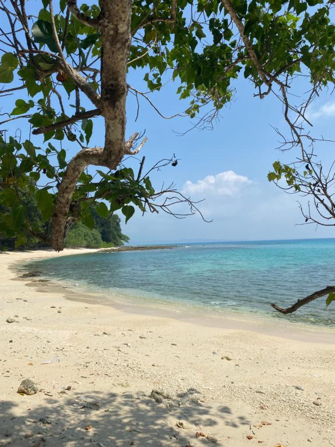Satya Boutique Resort & Spa Vijay Nagar Beach エクステリア 写真